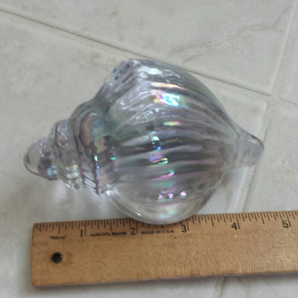 Iridescent Shell Decor - Picture 7 of 9